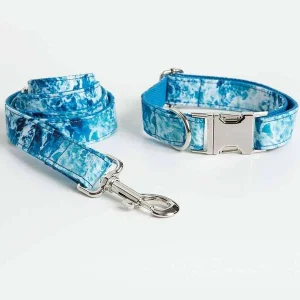 Dog Collar Traction Rope Set